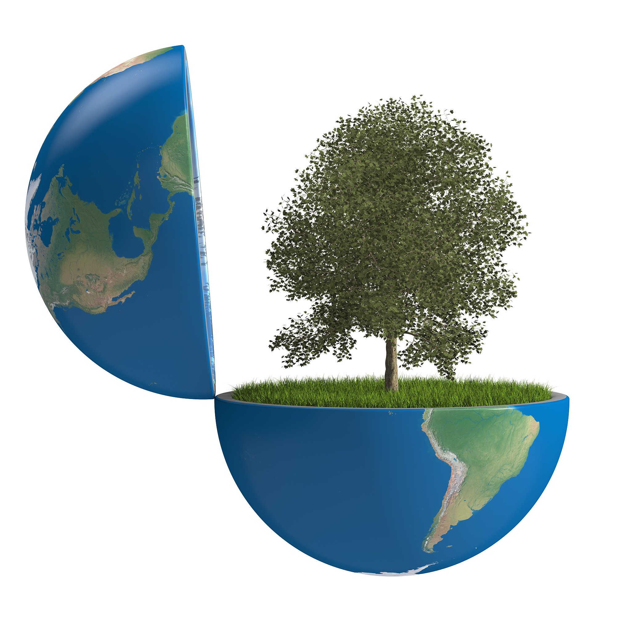 自然环境的组成：生物、物理、气候、地理