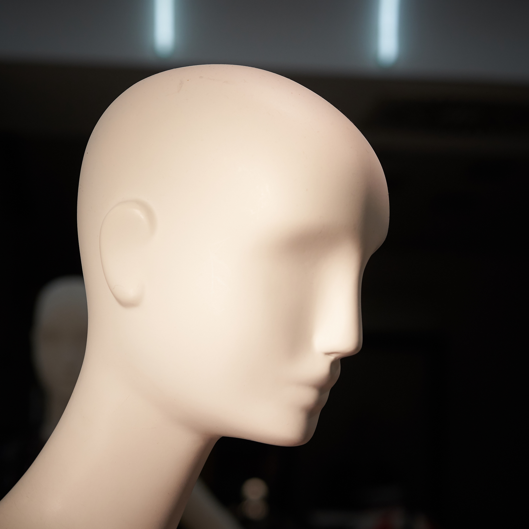 免费3D头部模型网站推荐：在线使用无需下载