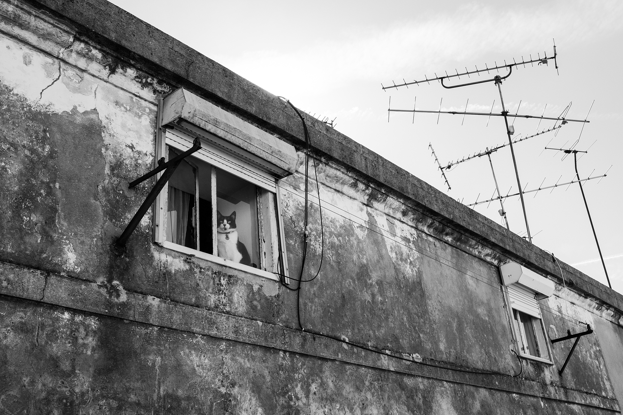 嘉兴建筑工业学校2023年招生联系方式-好不好