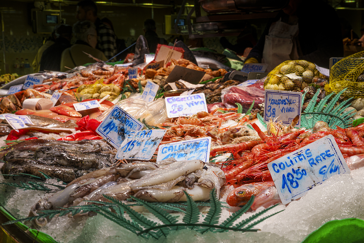 德里地区的Bara Bazar Market是什么类型的市场