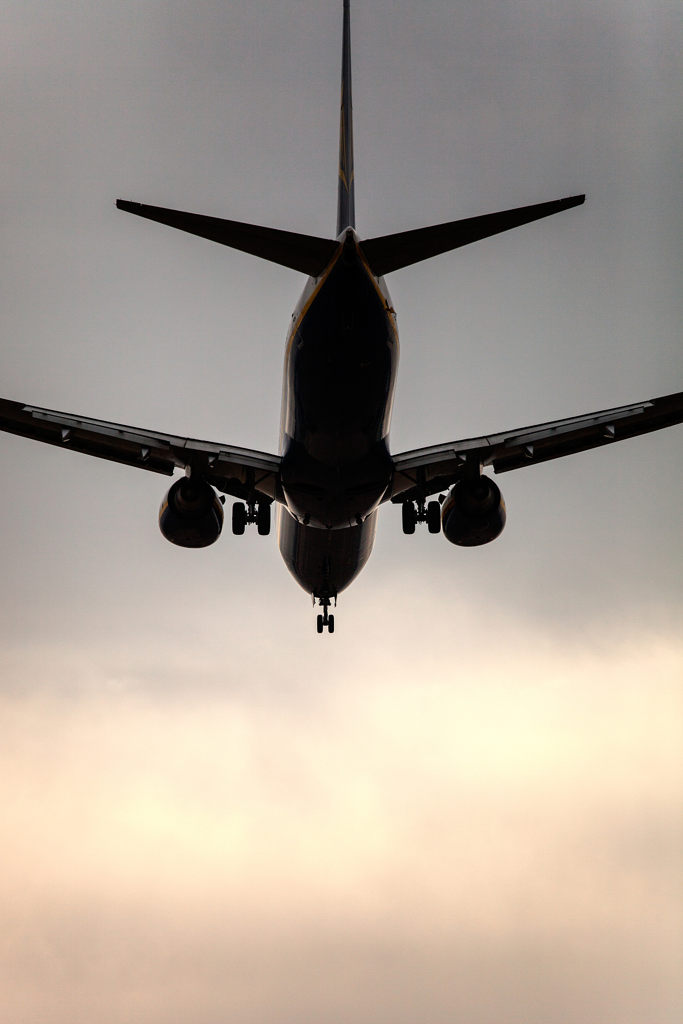 重庆巴南职业教育中心开设国际航空专业吗？