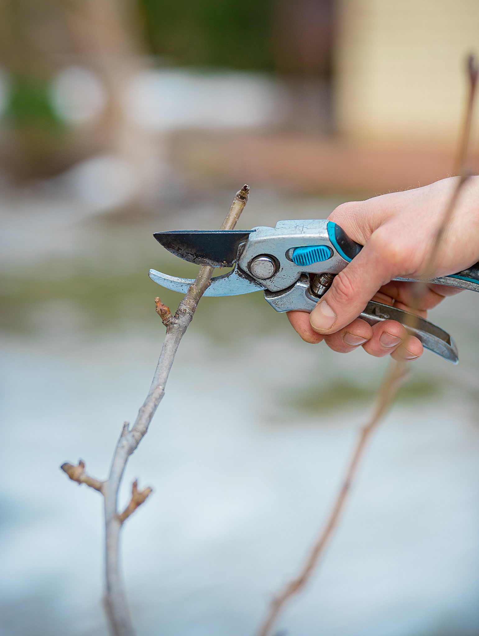 福建农业职业技术学院计算机通信专业好不好发展前景怎样