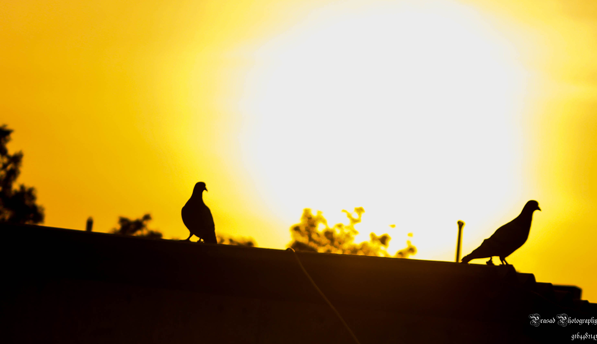 10本必读爱情小说，经典爱情故事推荐