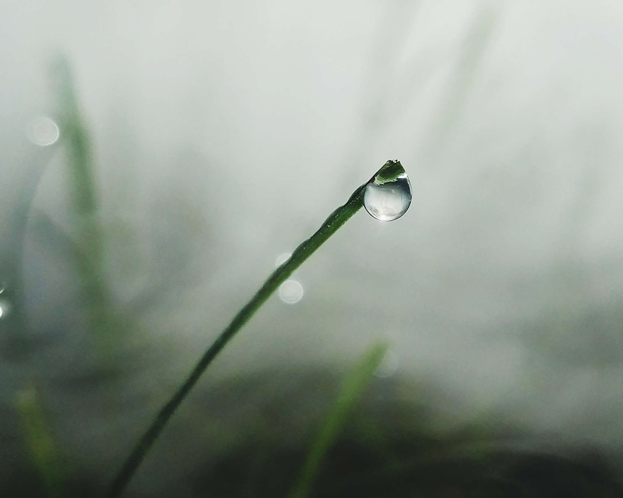 创作一首雨滴的元曲