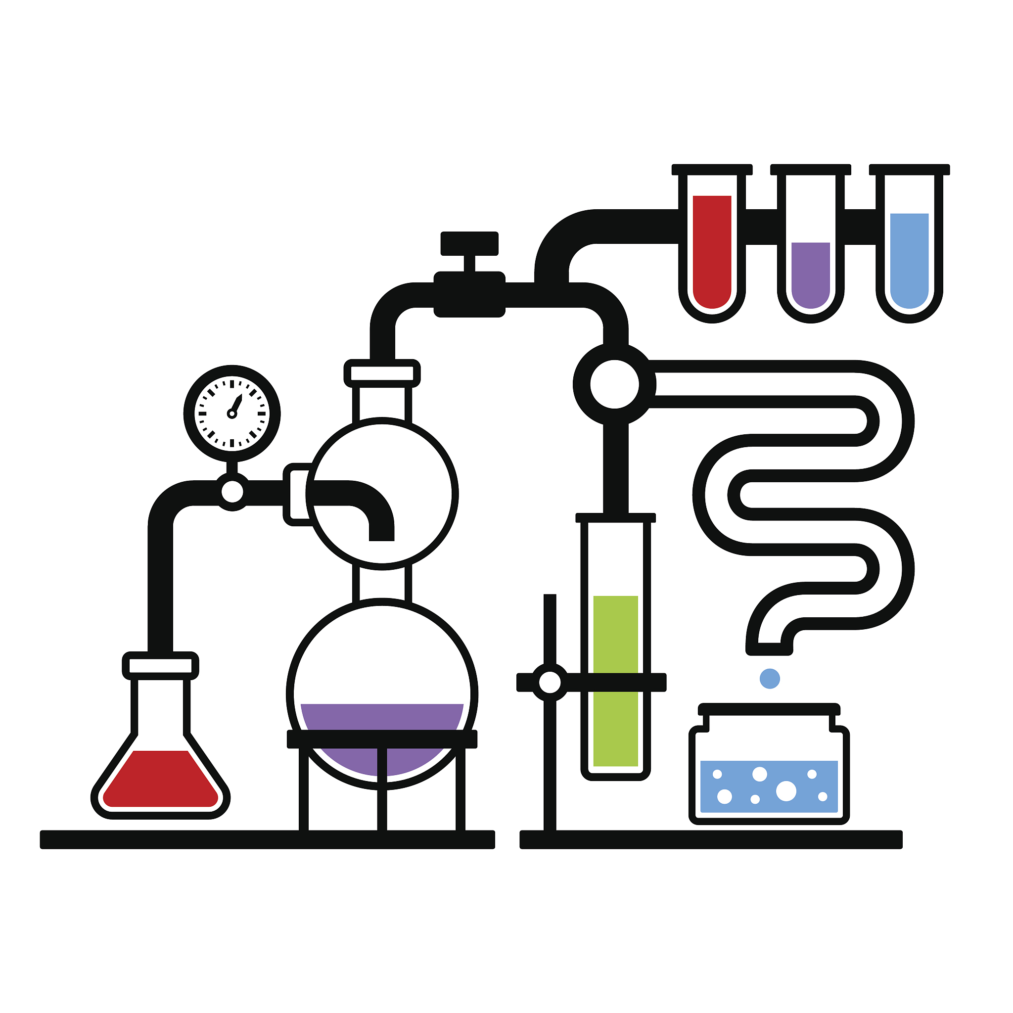 在双缩脲反应的实验中我们将尿素加入试管前要注意什么？加热时应观察什么现象？