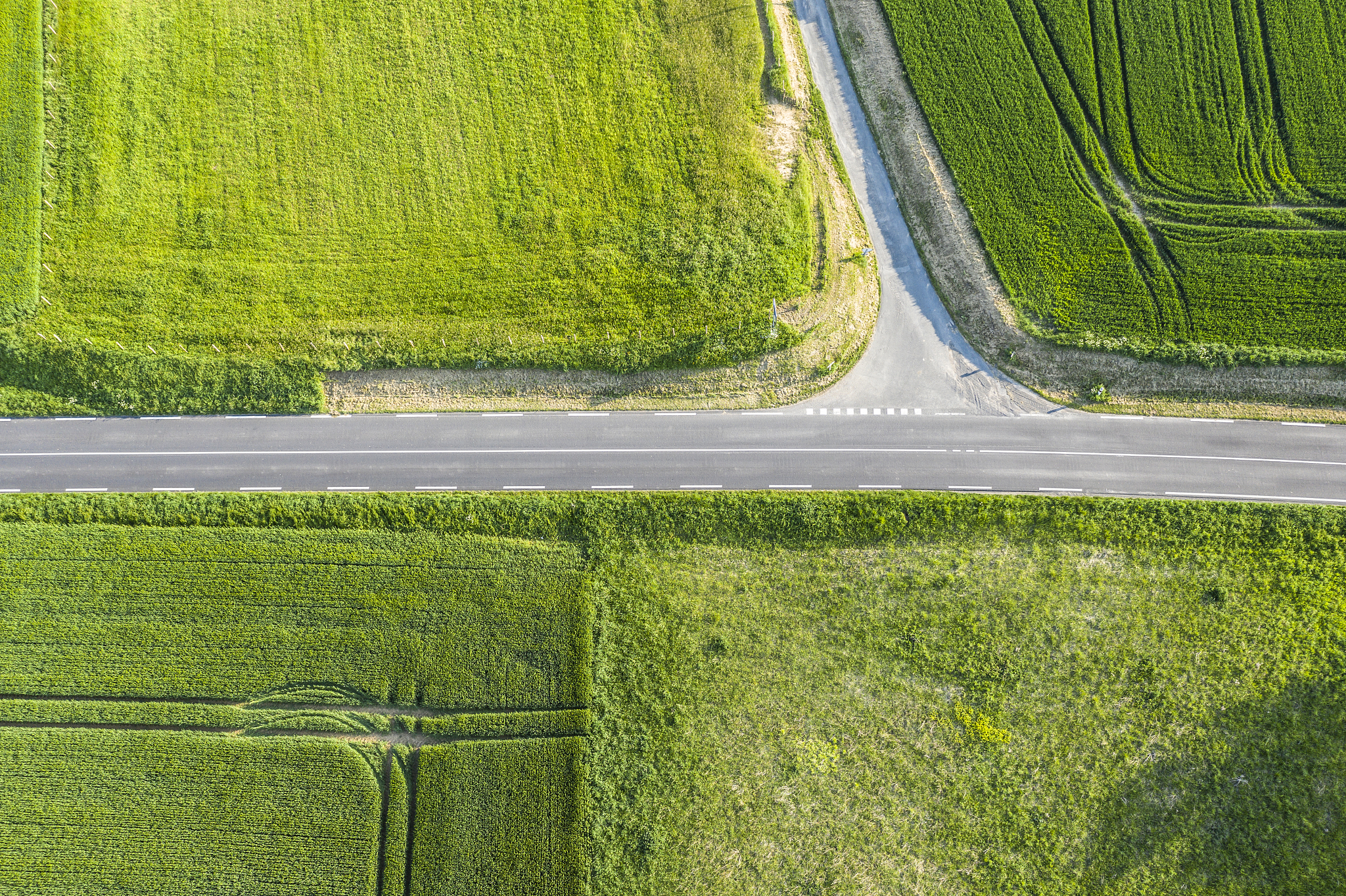 abstract aerial of a field in central france.