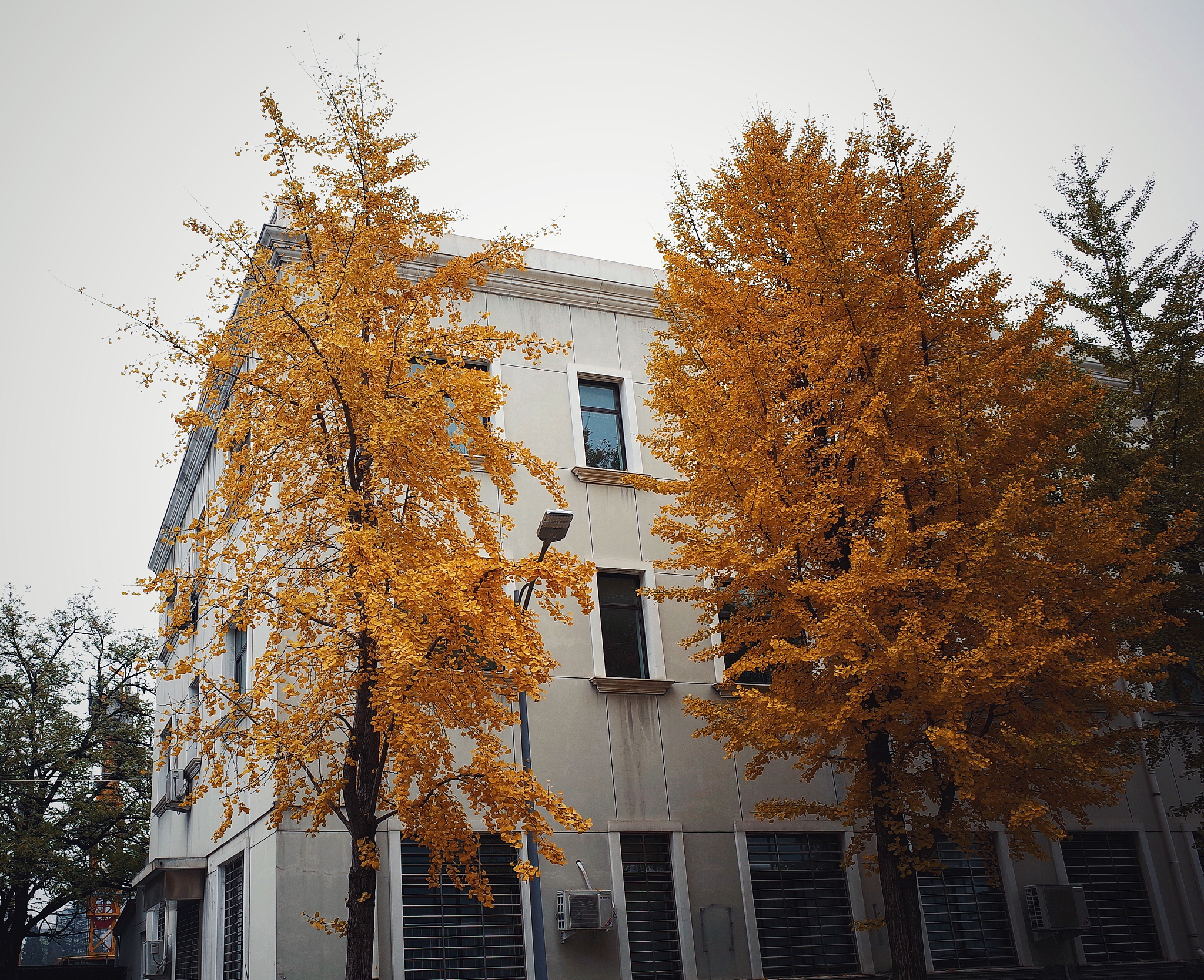 2019年成都信息工程大学银杏酒店管理学院人力资源管理本科专业介绍