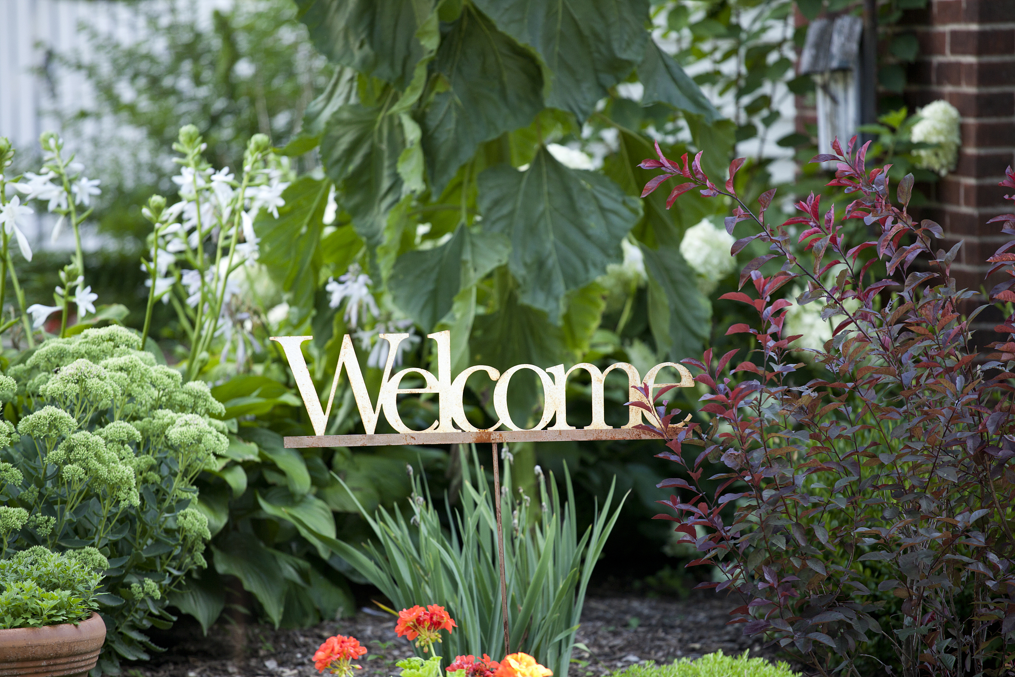 The Green-Thumbed Mr. Johnson: An Ode to My Plant-Loving Neighbor The Green-Thumbed Mr. Johnson: An Ode to My Plant-Loving Neighbor