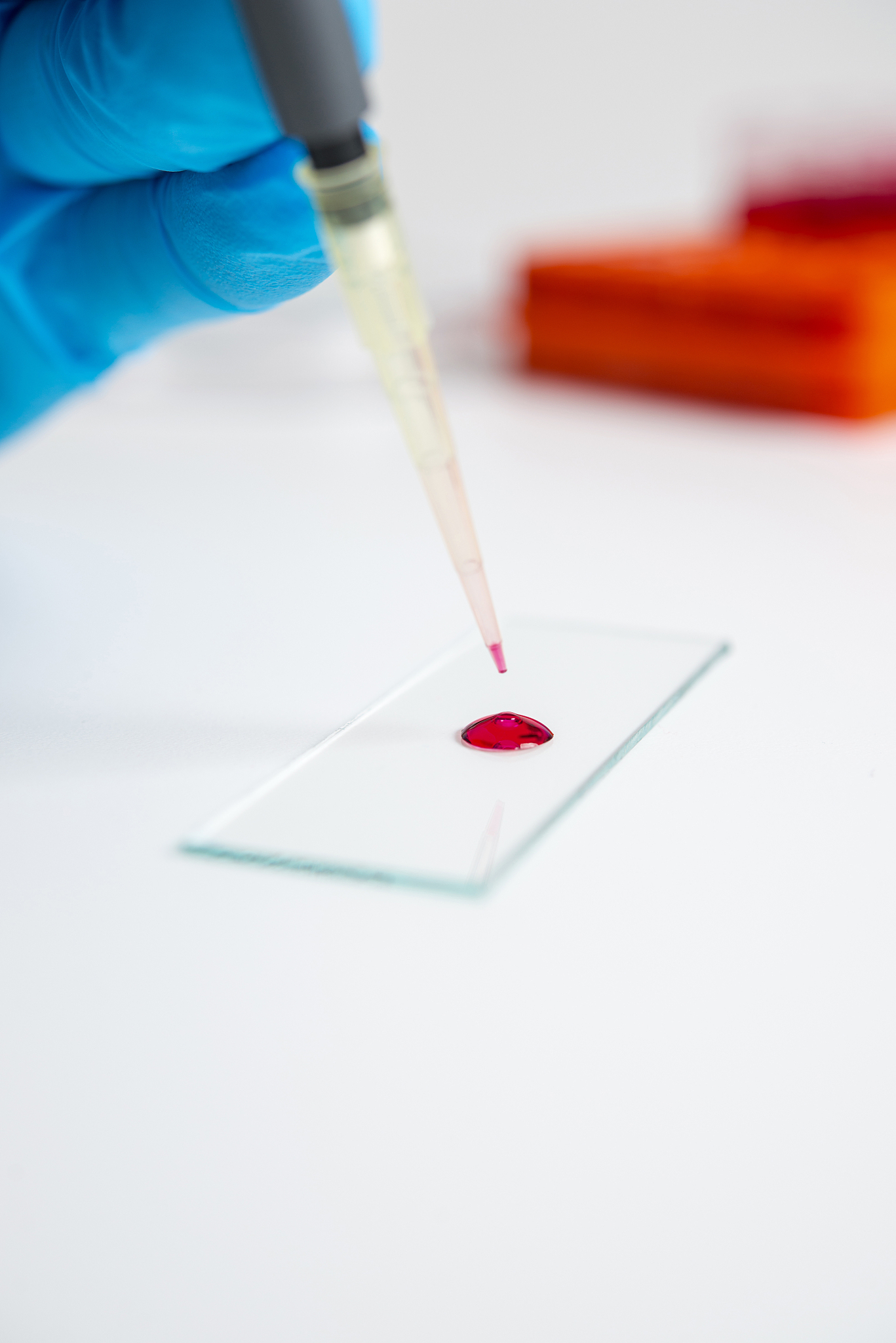 2019年贵州省哪些学校有医学检验专业课程