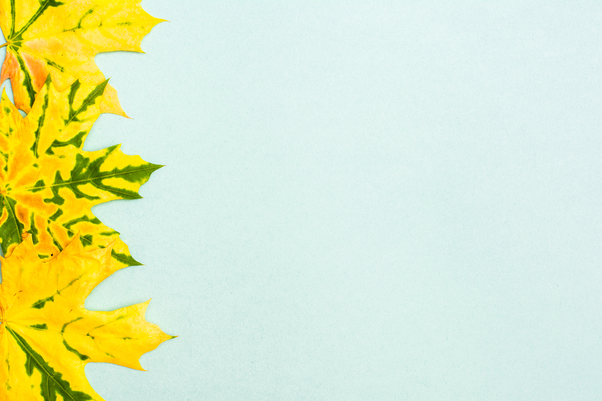 黄纸板碳排放因子：生产过程中的二氧化碳排放量