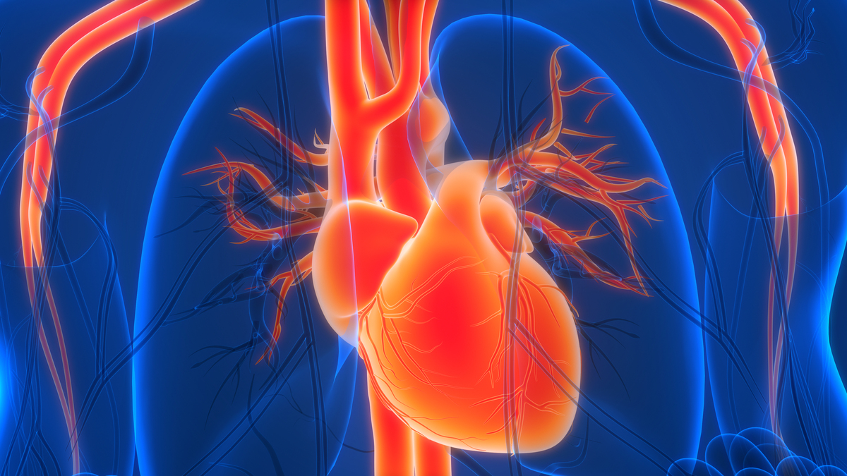 老年冠心病：症状、治疗和预防方法