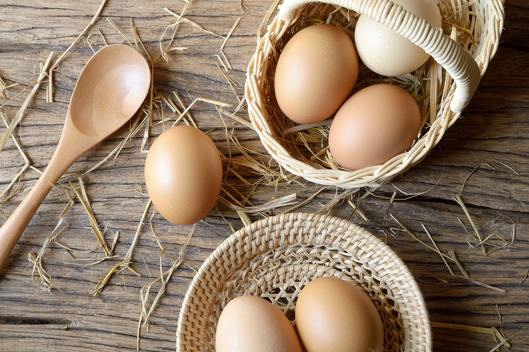 egg