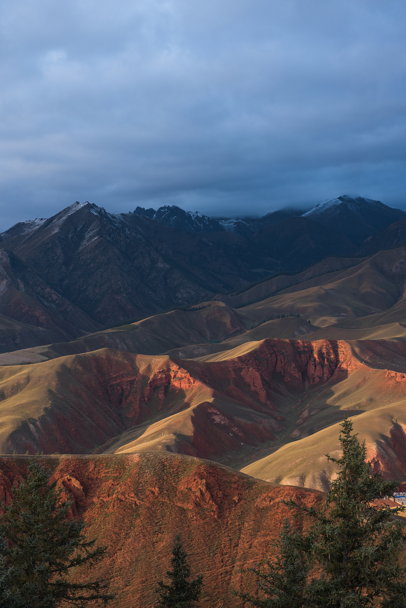 祁连山干旱区森林分布的原因分析