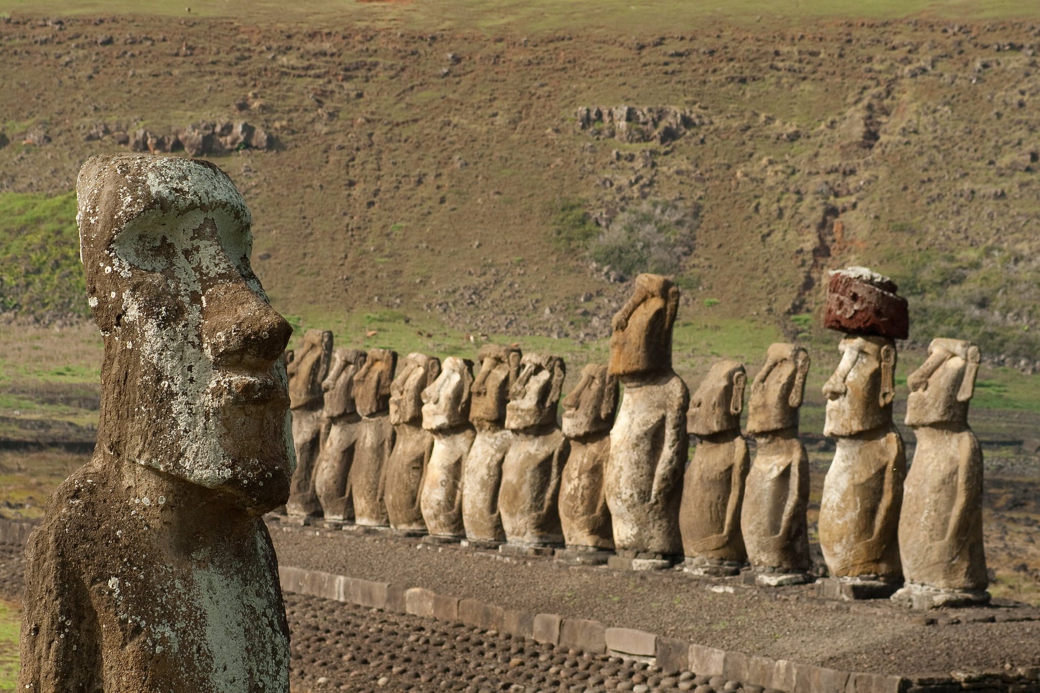 标题复活节岛的兴衰有什么教训与启示？