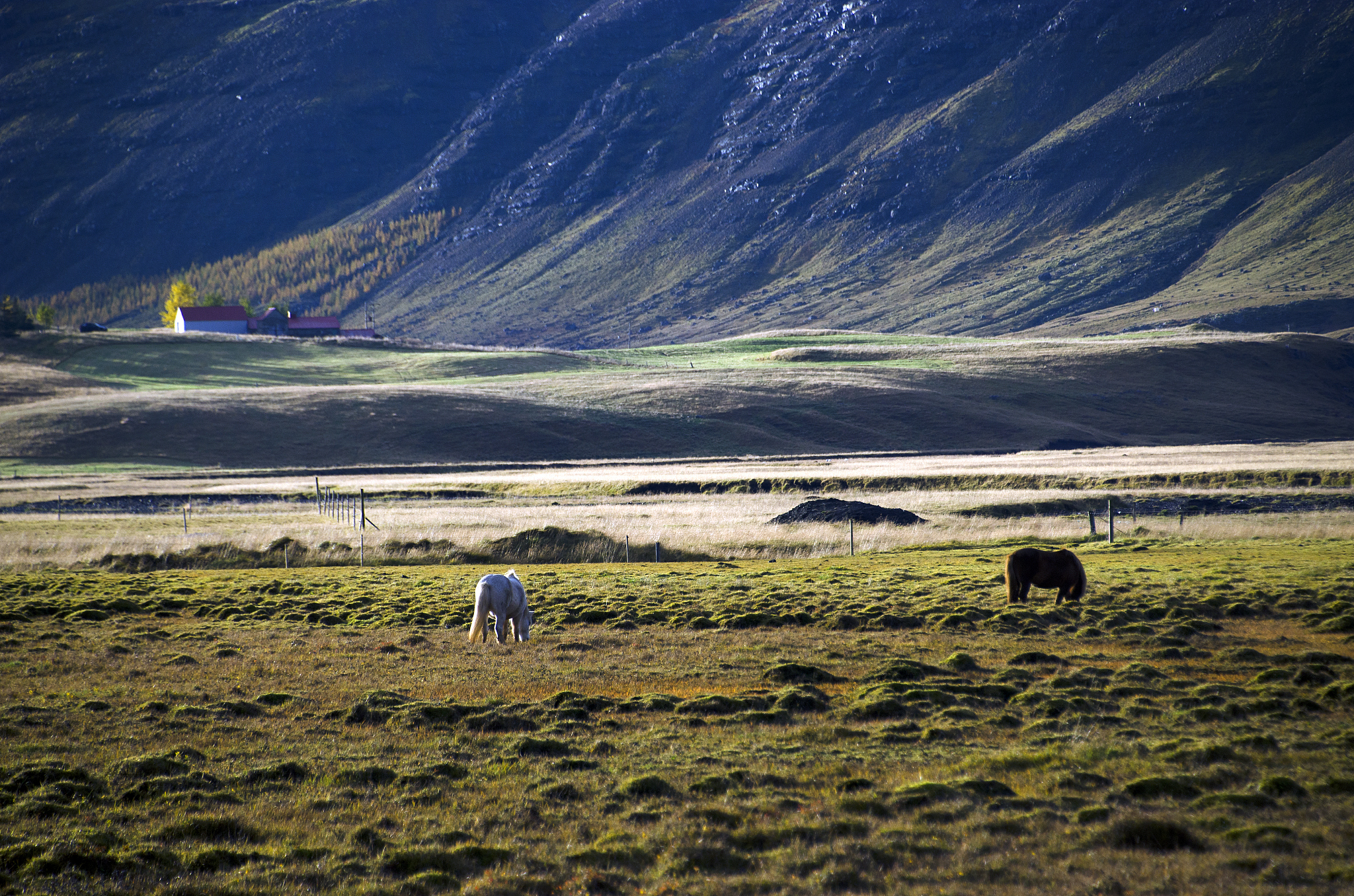 国有农场财务核算中心建立探讨：意义、原则、实施方案及评估