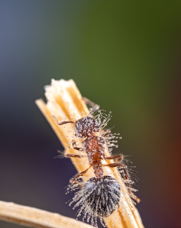 伴侣have sex的时候经常会称呼女方Princess吗？