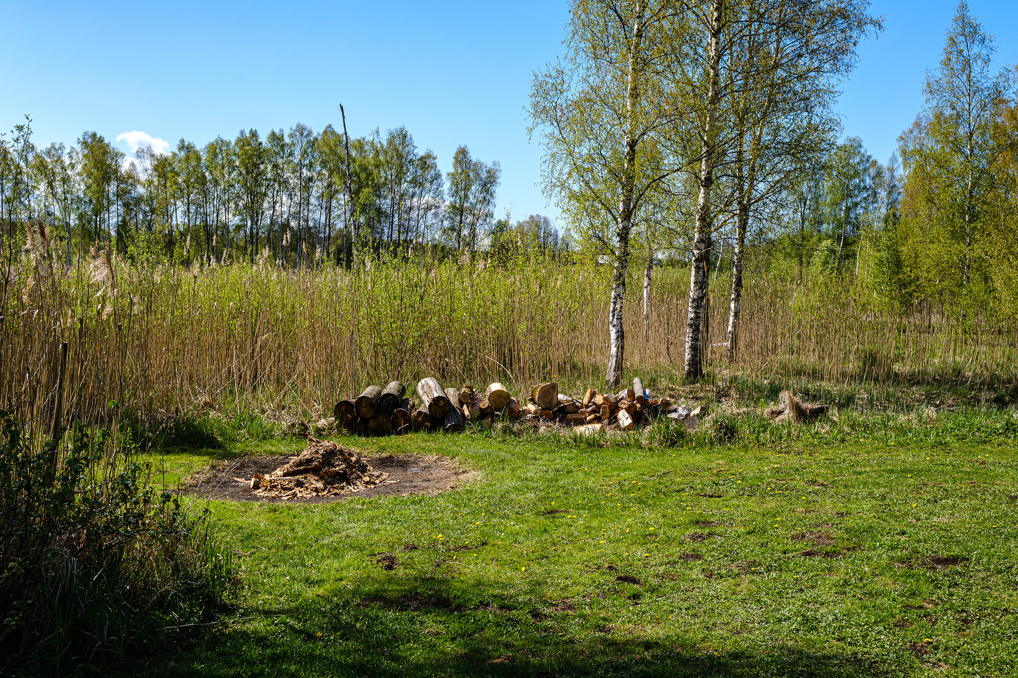 河南省林业局：守护绿水青山，推动生态文明建设
