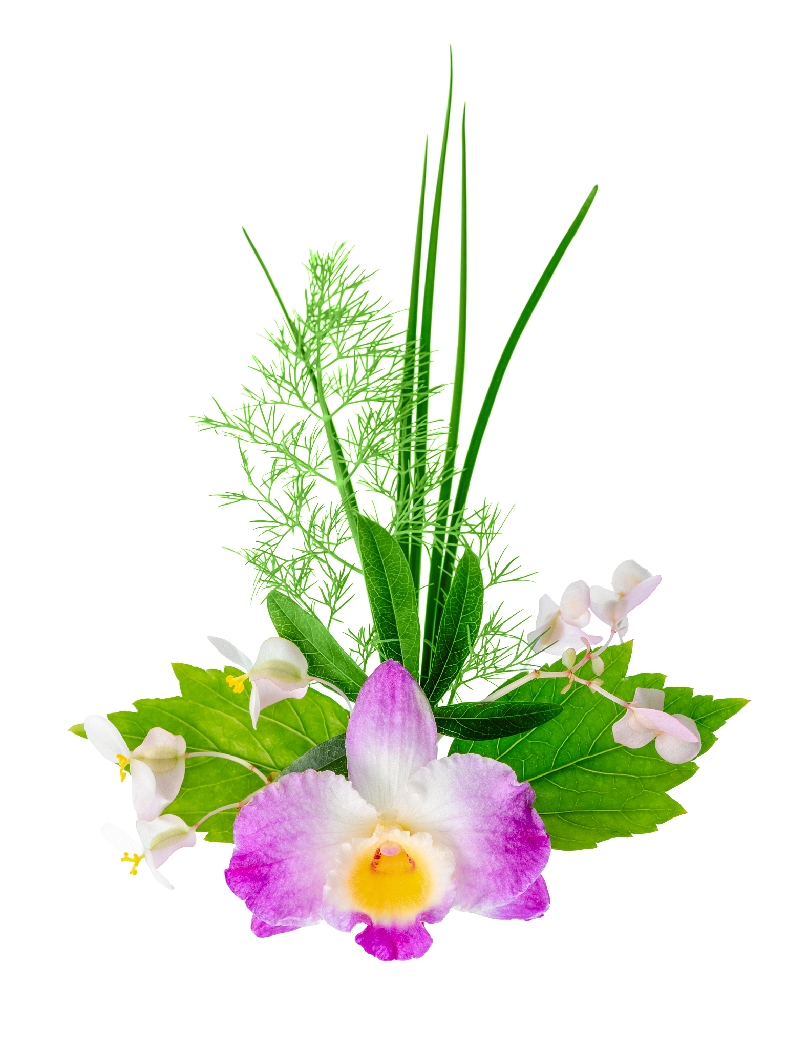 composition of exotic flowers bouquet is isolated on white