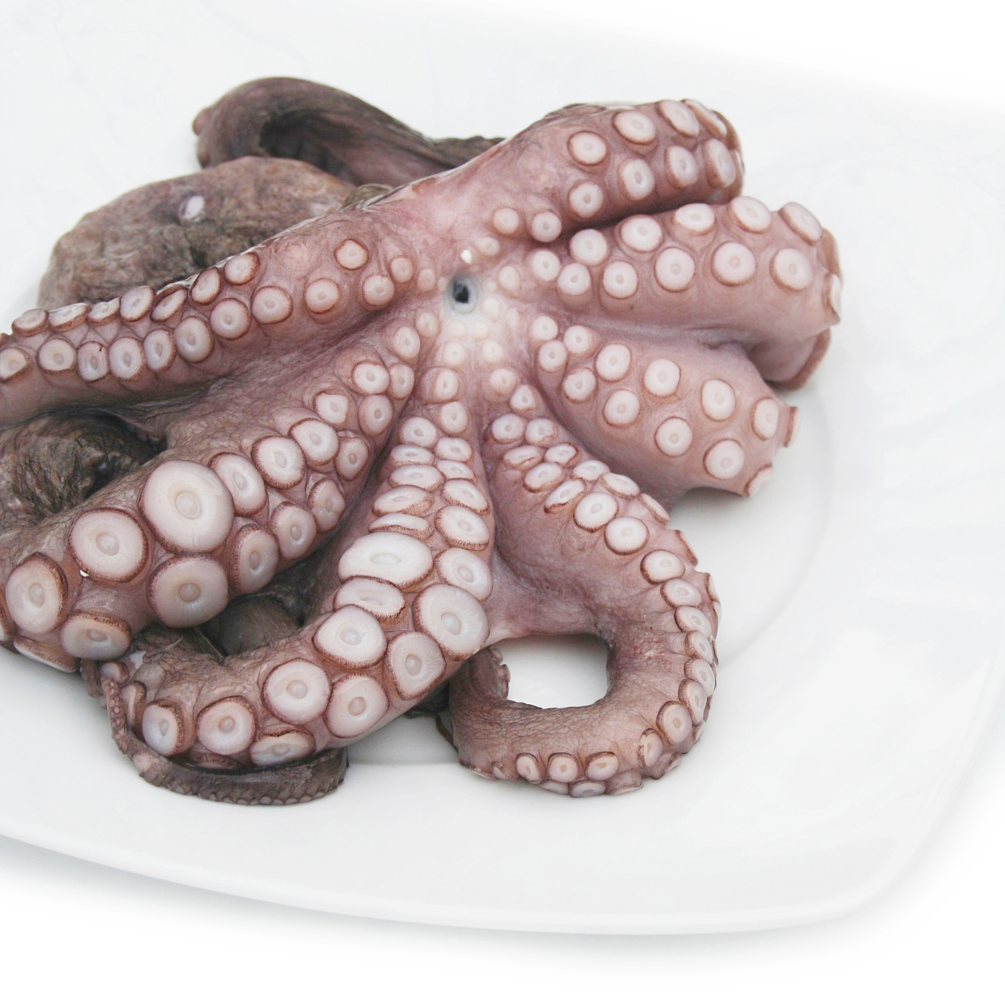 大章鱼需要剥皮吗？食用前必知的清洁步骤