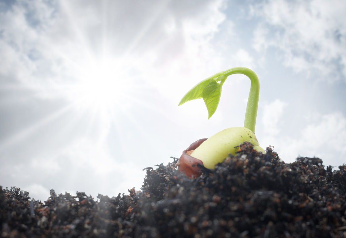 感谢自己：选择积极乐观，在苦乐人生中不断成长