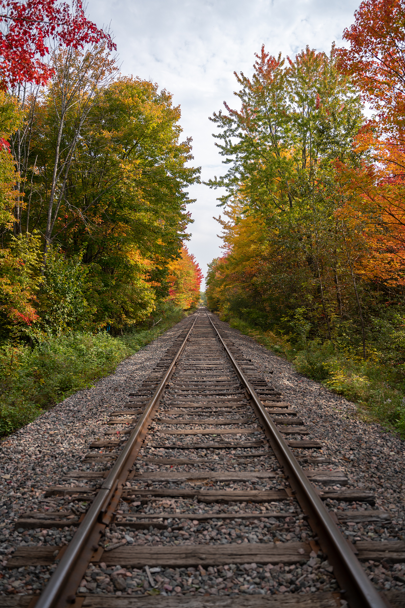 广西2021年适合男生的铁路学校专业