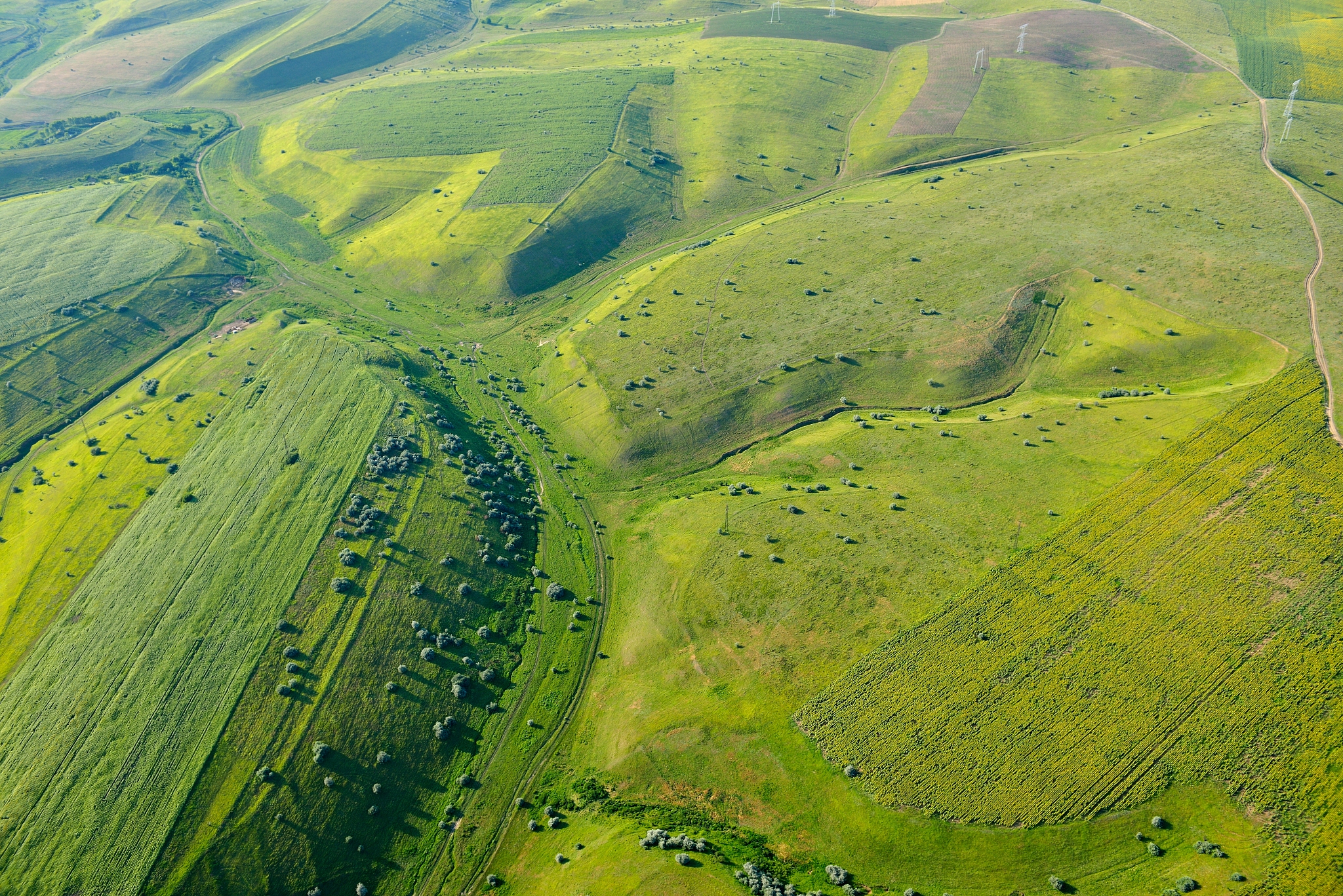 aerial view on fields