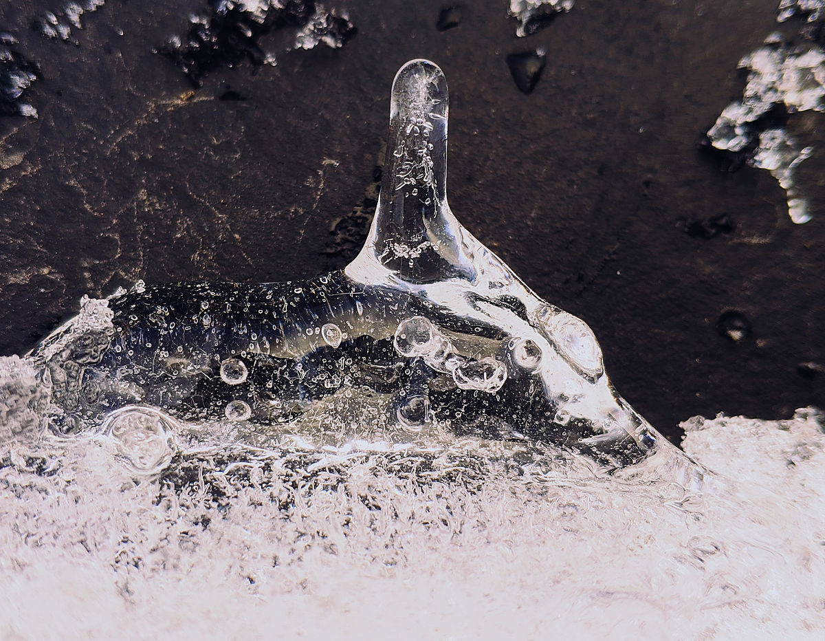 1200字关于创意摄影技巧大揭秘：让照片更具艺术感