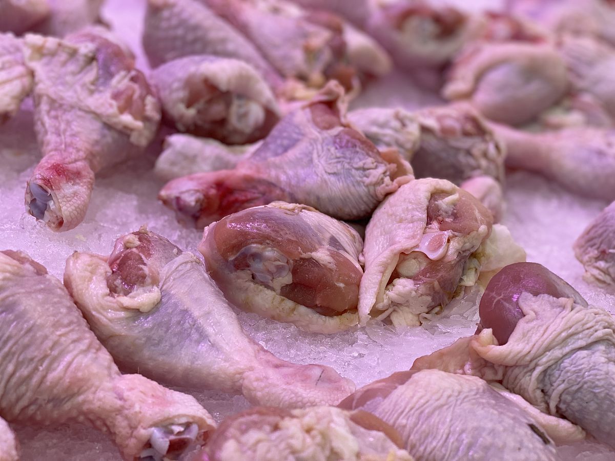 鸭子睾丸的功效与作用