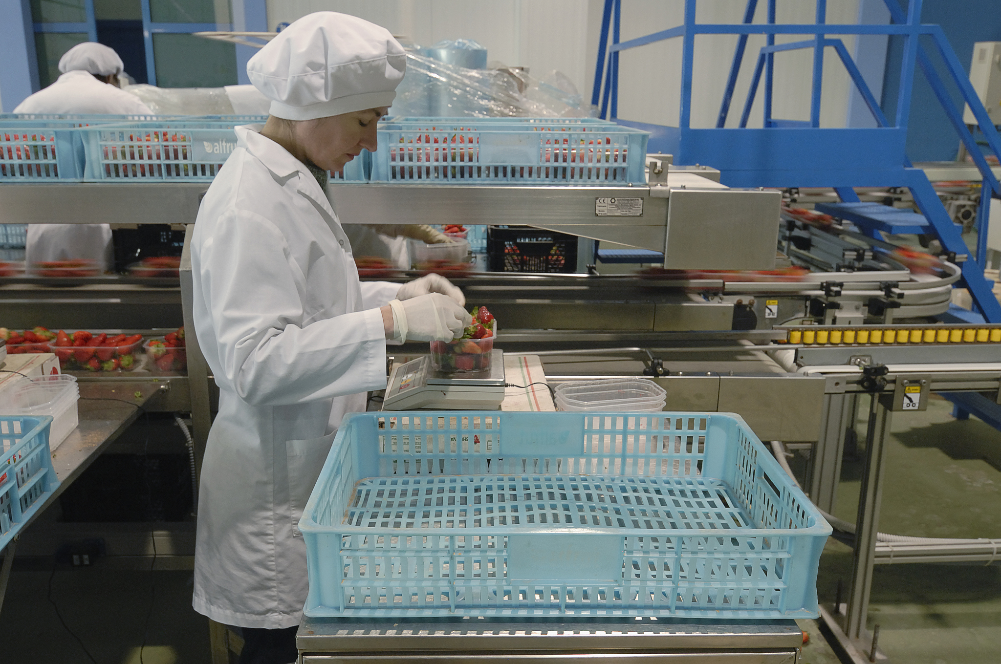 以食品加工技术专业怎么样？为标题写一篇1100字的文章第一段不要出现标题