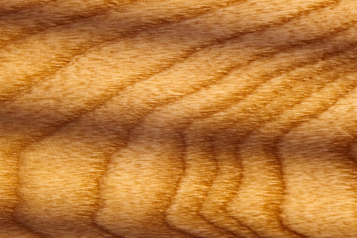 中文之美：从字形到文化意蕴的1000字解读