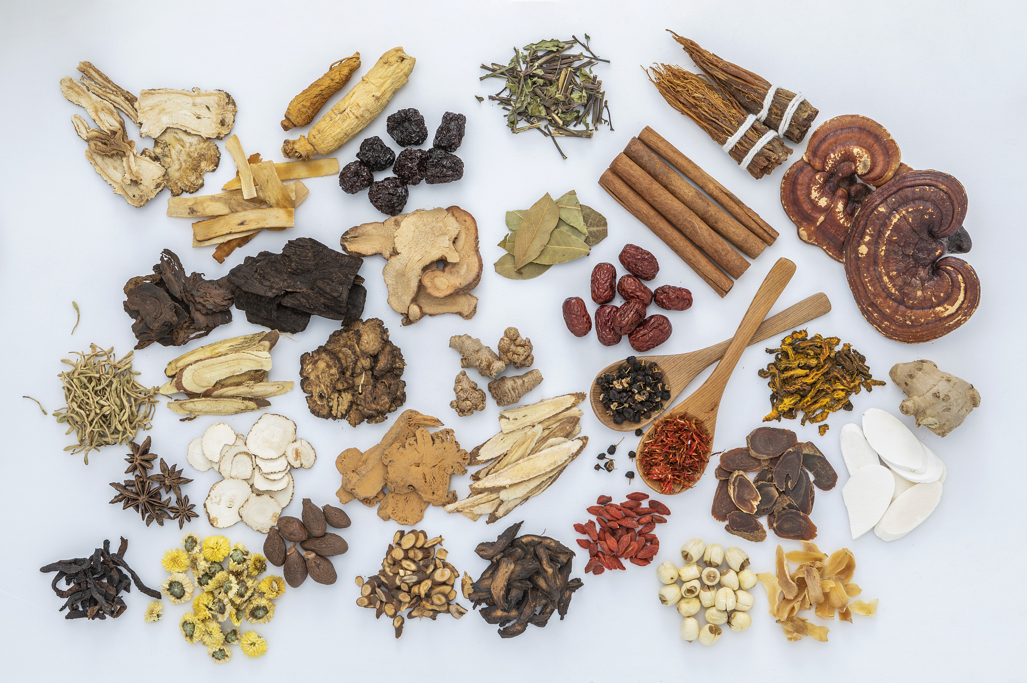 高原地区肝脏损伤的藏医病因、病机、治则与治法