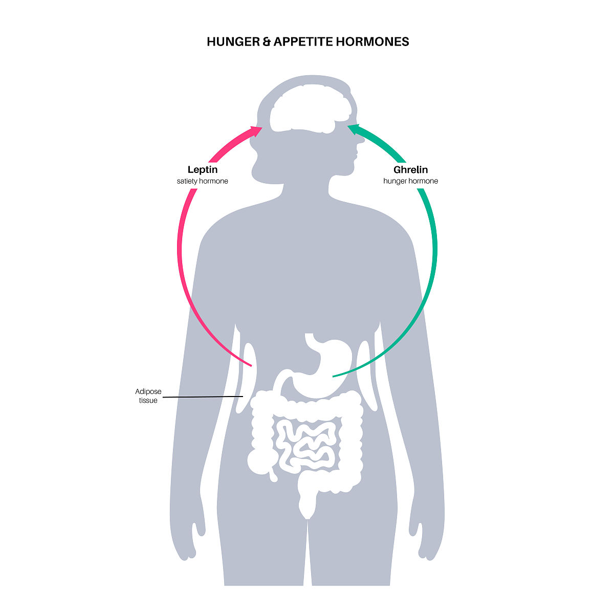 一点事突然发脾气暴躁 是什么原因