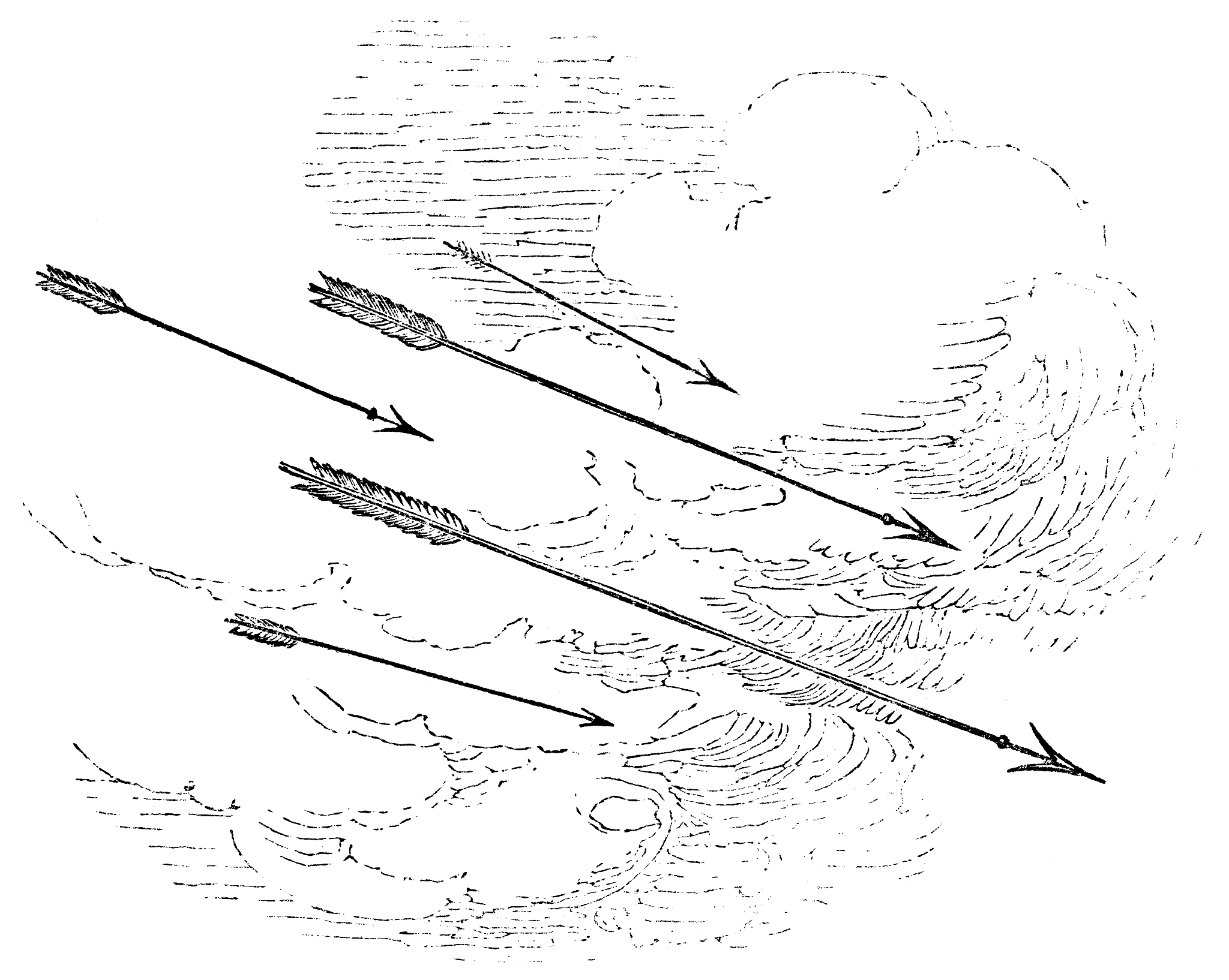 跨学科视野：纵横结合，理论实践并重课程