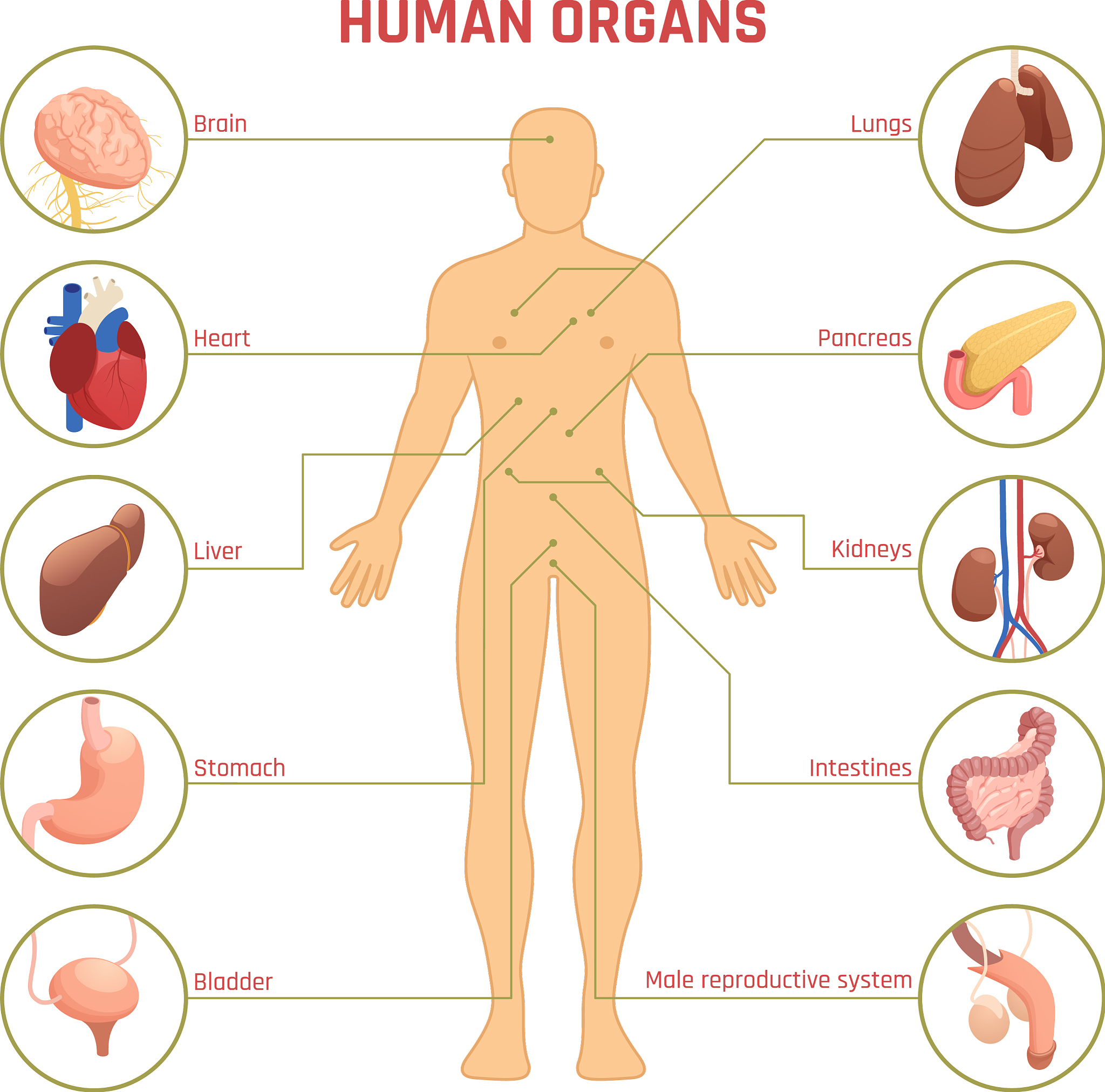 穴位是如何被发现的？ - 中医学的起源与发展
