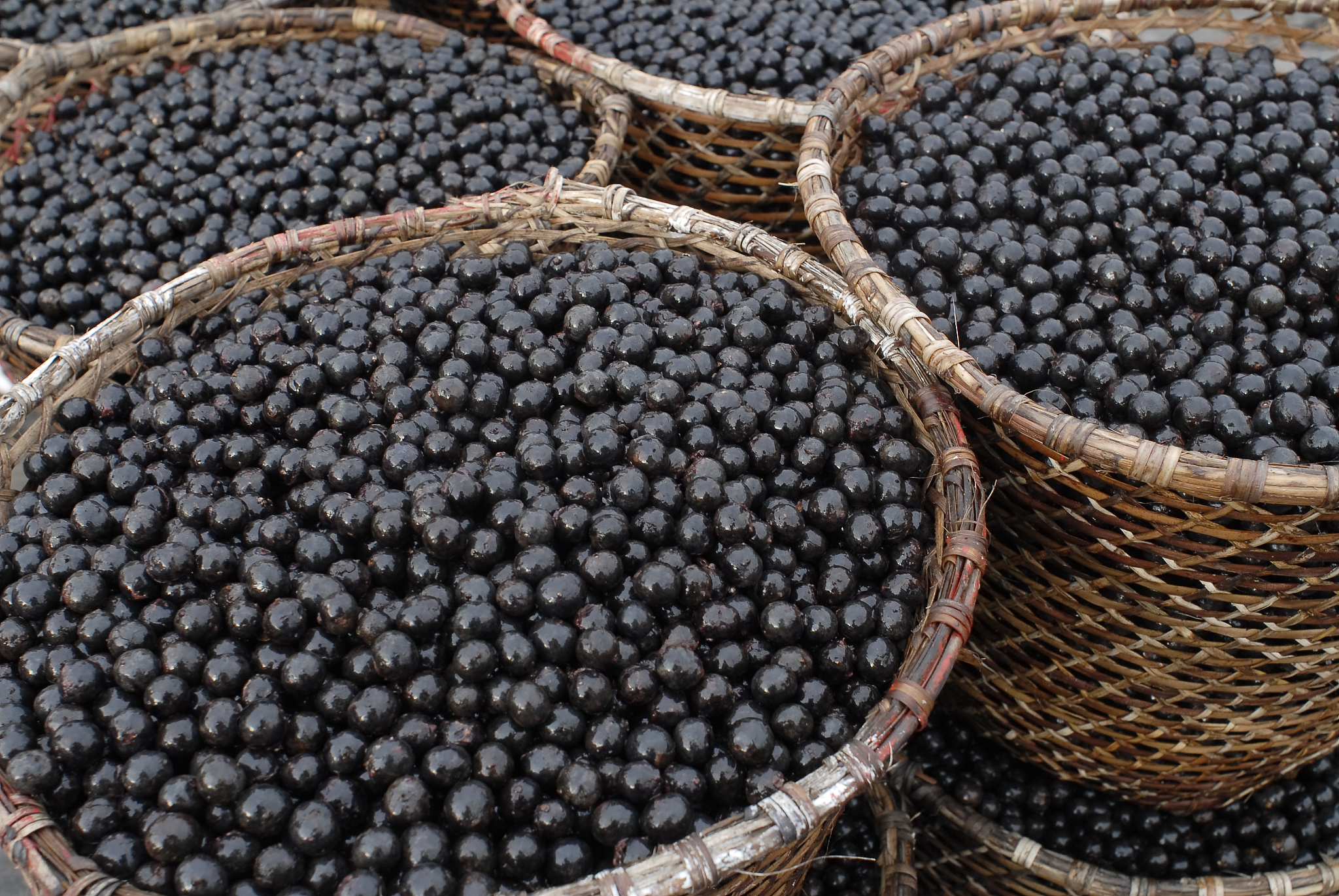 AI“一键脱衣”事件引关注：坚决取缔非法应用，维护网络安全和个人隐私