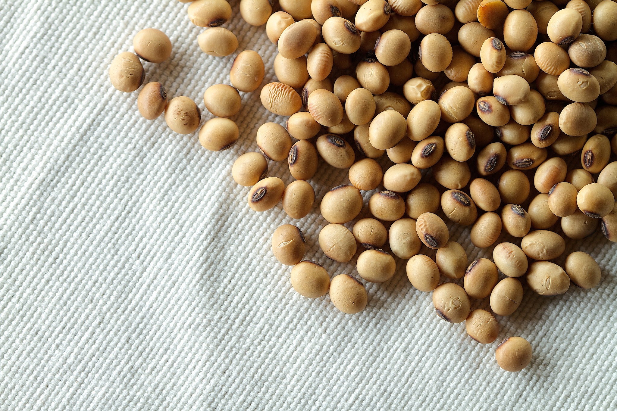 L-苯丙氨酸是碱性物质吗？