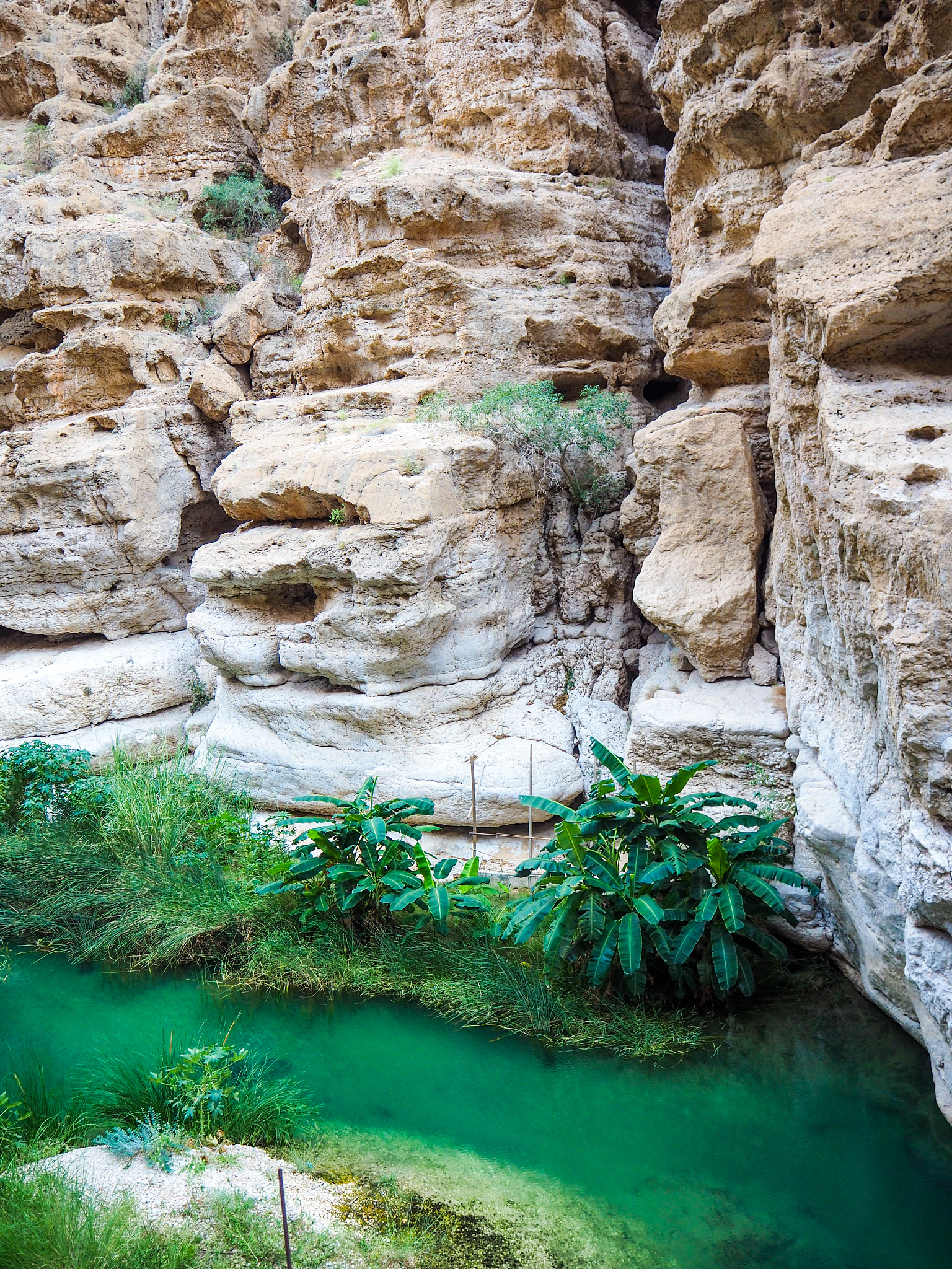 如何控制地理位置、教育水平、政策支持、自然资源变量