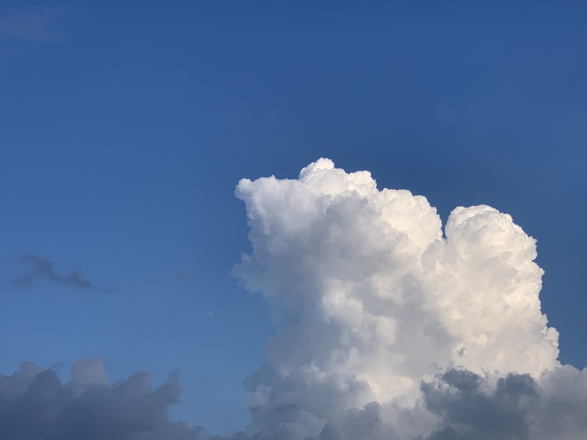 天上的云像什么二年级