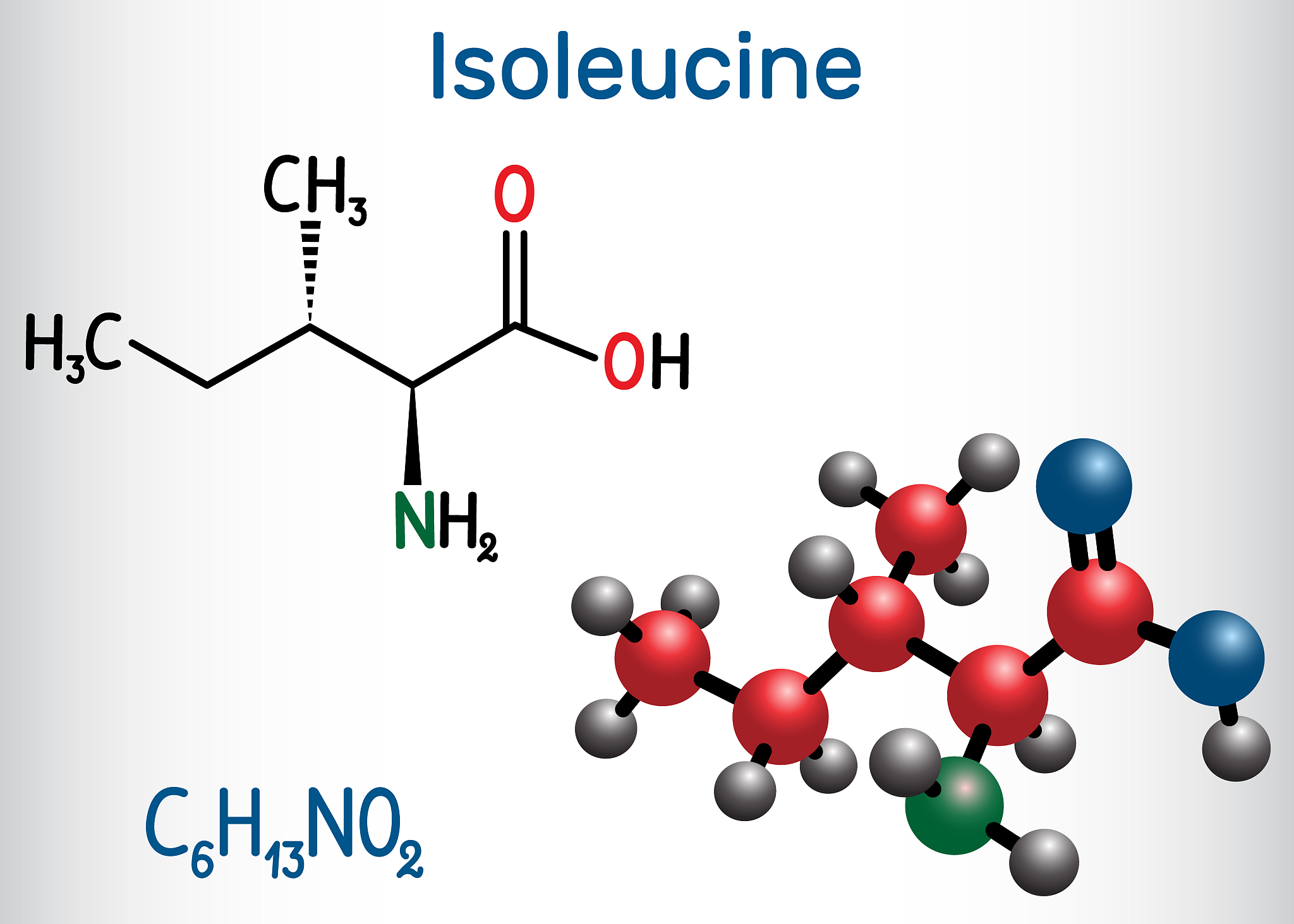 蛋白质化学概述：结构、功能和调节