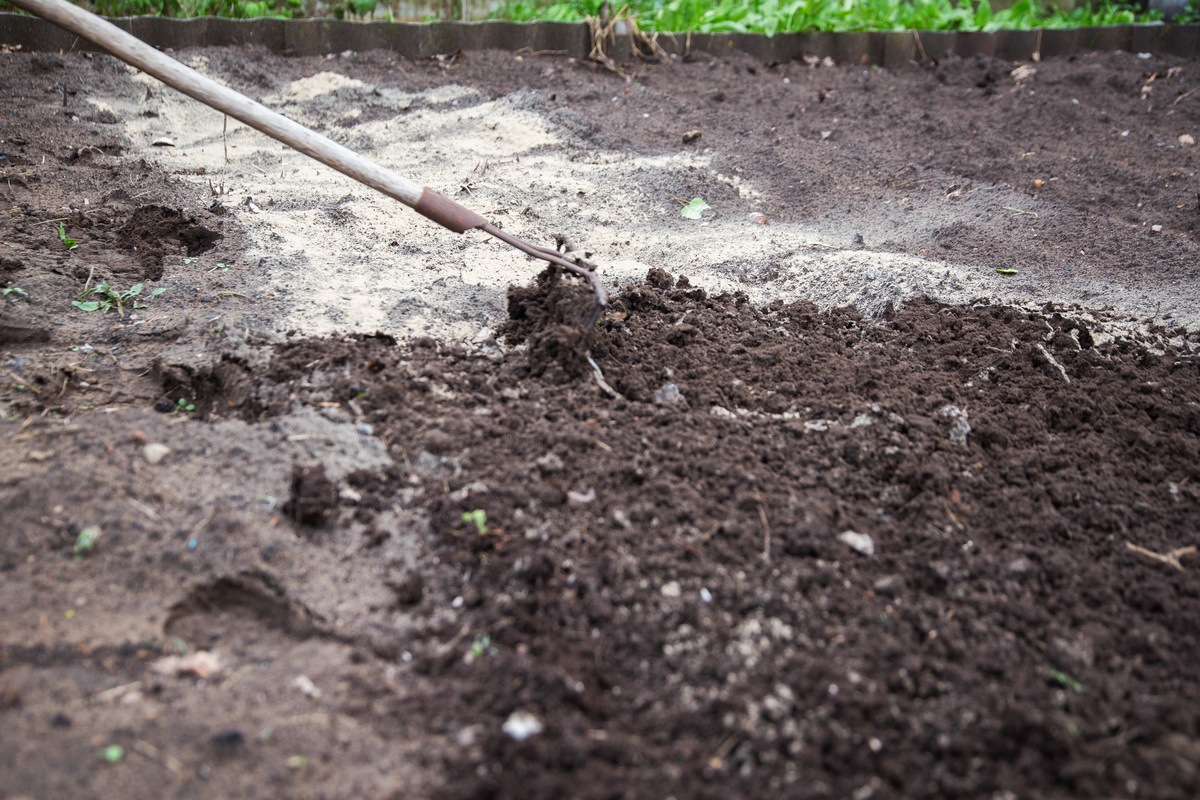 放了羊粪后必须马上浇水吗