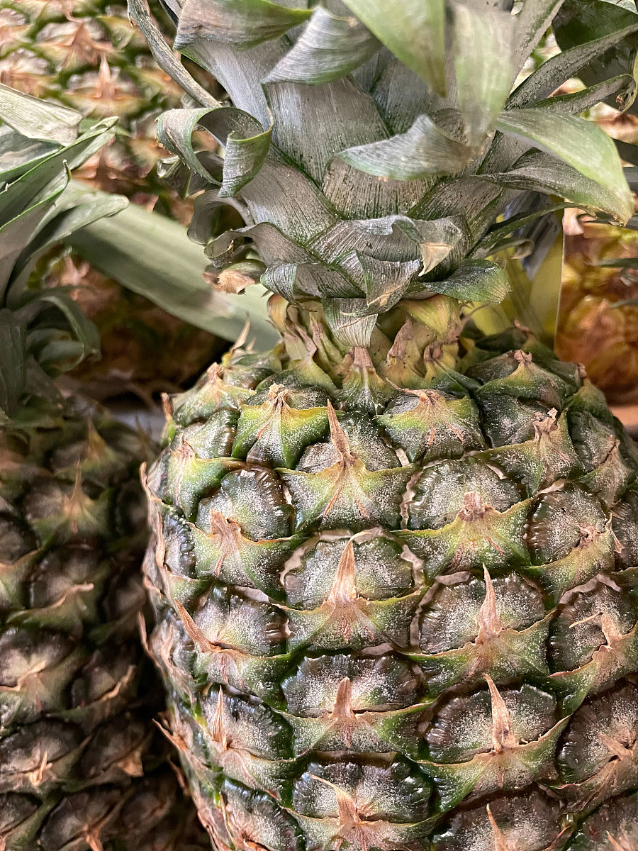 凤梨和菠萝的区别