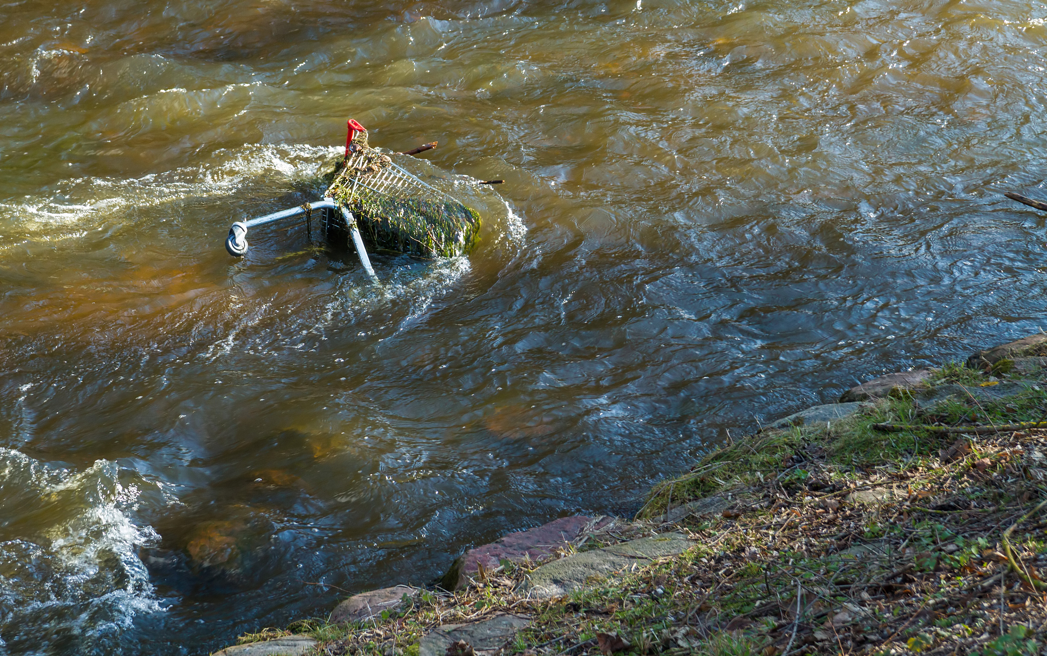 shopping cart in the river