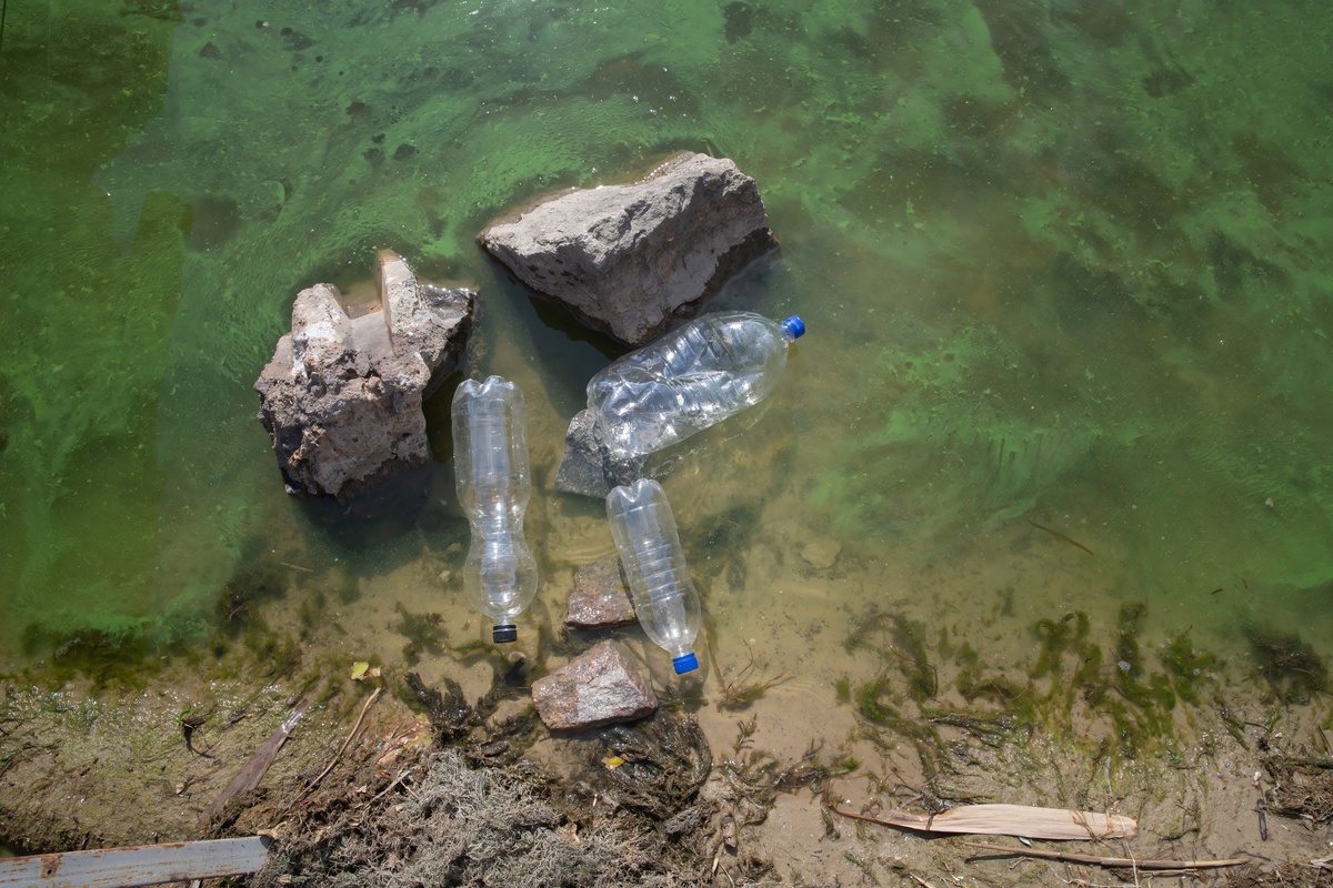 重金属污染对环境的危害：土壤、水体、大气和生态系统