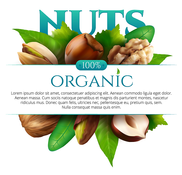 Dried Fruit World 含义 - 干果世界