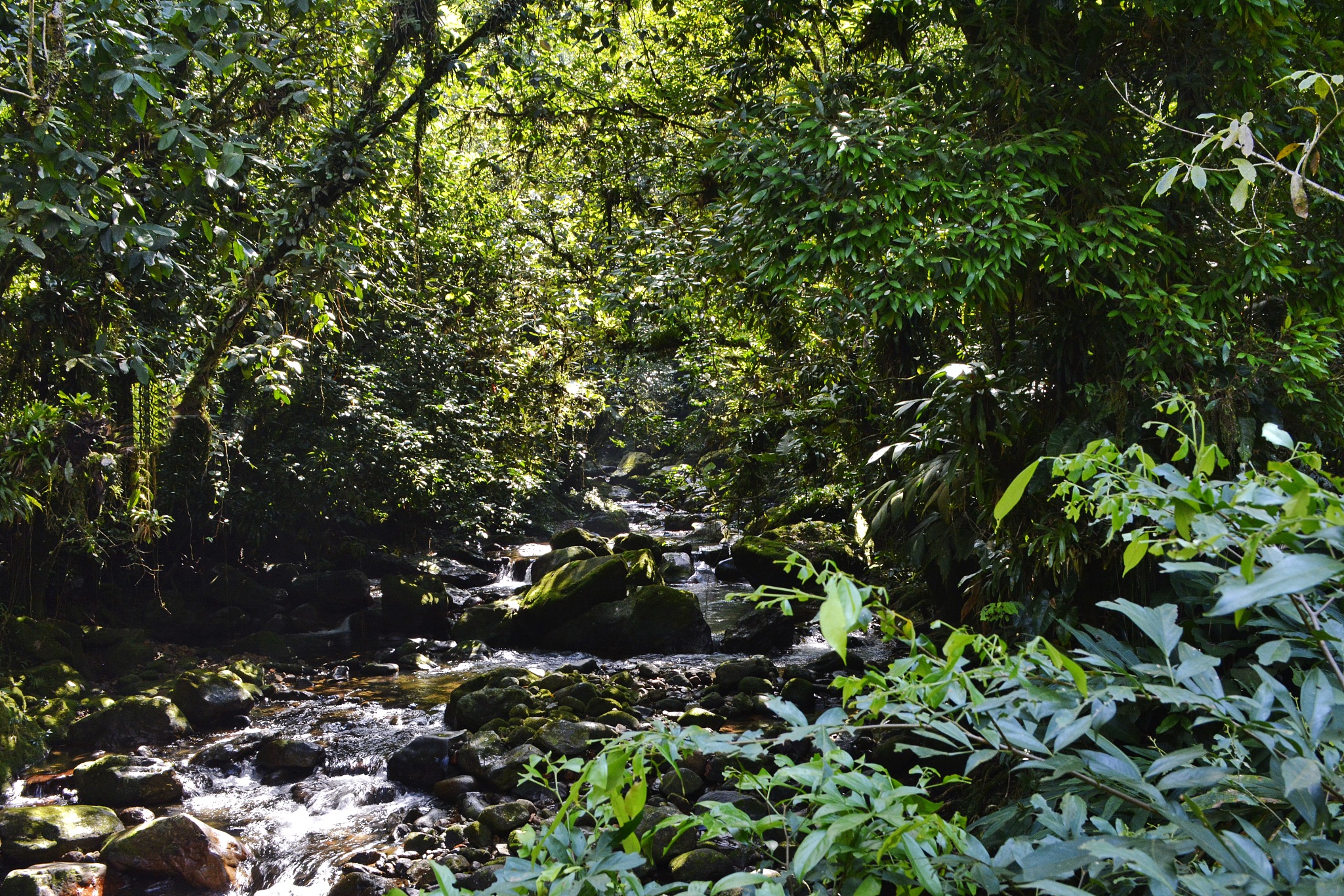 吸扬式水力集矿方法缺点