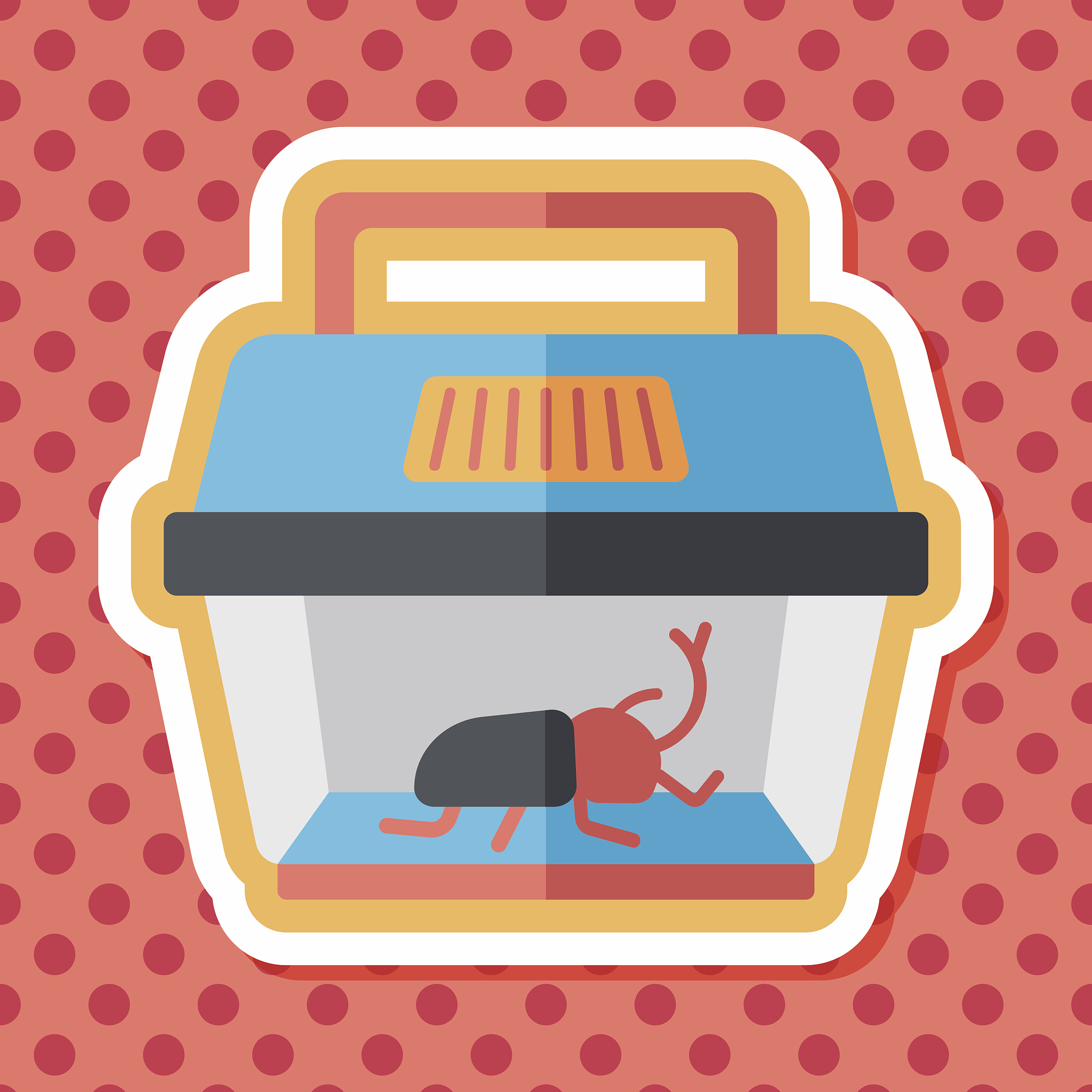 黑龙江生物科技职业学院宠物养护与驯导专业专业到底行不行设有哪些课程