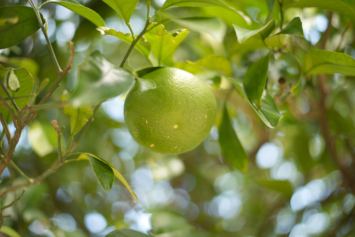 规范普通话测试流程提高校内师生普通话水平测试等级措施