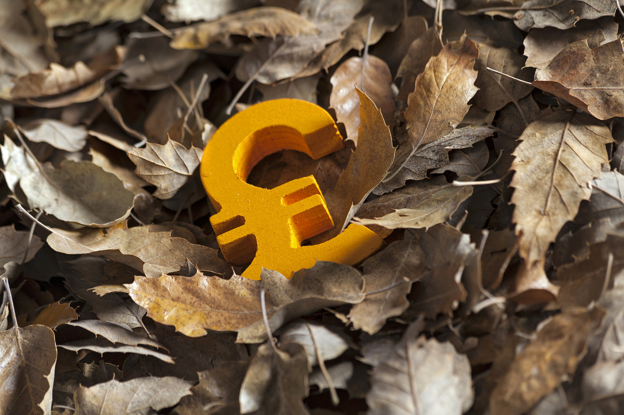 international economy money icon and currency unit