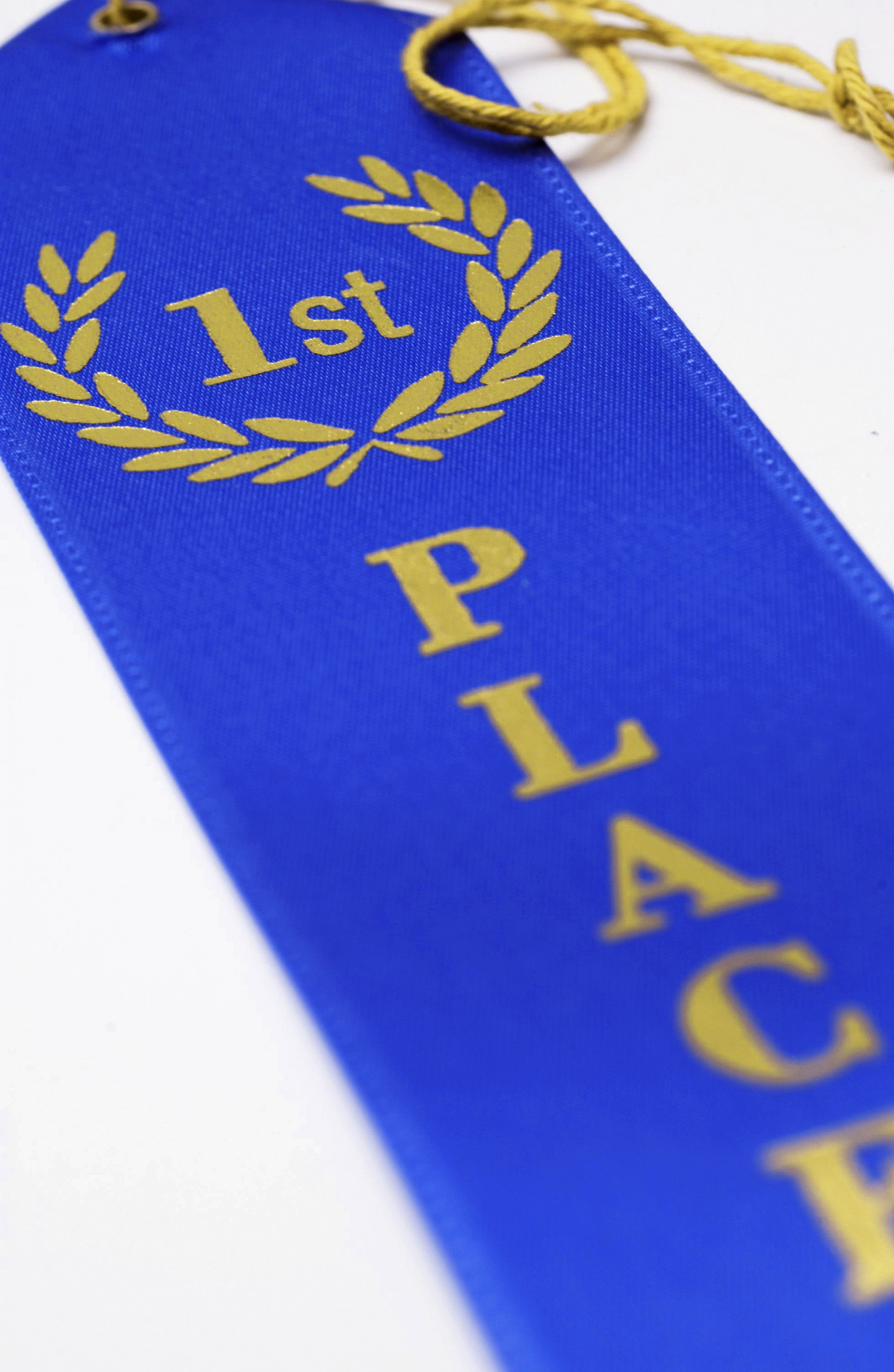 1st place blue ribbon