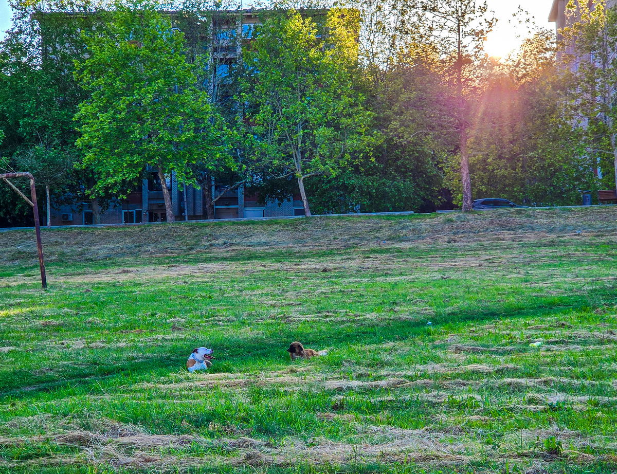 午后阳光，静谧美好 - 享受轻松愉悦的午后时光